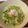 ローズマリー☆☆'s cooksnap of when they made レンジで簡単冷やしうどん‼️.