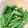 クッククックー☆'s cooksnap of when they made とっても便利！オクラの冷凍法.