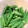 クッククックー☆'s cooksnap of when they made とっても便利！オクラの冷凍法.