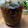 papikun's cooksnap of when they made 生姜農家の☆新生姜の醤油漬♪.