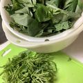 しげその's cooksnap of when they made モロヘイヤの下処理、茹で方.