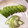 horseland's cooksnap of when they made 瓜の糠漬け.