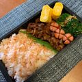びわすけキッチン's cooksnap of when they made 男子高校生弁当★20 プルコギ弁当.