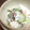 olive11's cooksnap of when they made 梨のヨーグルトサラダ❤.