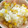 nonpy96's cooksnap of when they made とうもろこしごはん.