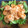 Botao's cooksnap of when they made 簡単！ぷりぷりのエビマヨ♬.