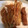みみみんみんみん's cooksnap of when they made えのきの唐揚げ.