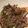 クックXNDD8Q☆'s cooksnap of when they made ニラ好きのための納豆チャーハン.