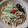 main73's cooksnap of when they made トマトとツナマヨの冷やしうどん.
