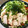 ちっち123's cooksnap of when they made 蒸し鶏とトマトの胡麻だれそうめん.
