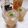 クックI7I5L1☆'s cooksnap of when they made お酒の割材☆美味しいカクテル(*^^*).