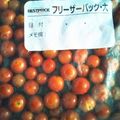 T❀mo's cooksnap of when they made ミニトマトの和風マリネ（ノンオイル）.