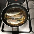 ♪ミネラル♪'s cooksnap of when they made いわしの 生姜煮 をフライパンで☆.