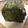 ふみわかまる's cooksnap of when they made 抹茶小豆パウンドケーキ.