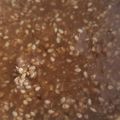 ゆずか307's cooksnap of when they made 辛くない韓国風つけ味噌.