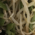 ma___111's cooksnap of when they made モヤシのカレー炒め カニカマ・緑の野菜.