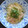 ジョングレ's cooksnap of when they made たらこときざみわさびと青ねぎの和風パスタ.