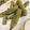 こたろろ98's cooksnap of when they made オクラの天ぷら.