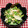 tokotann's cooksnap of when they made 水菜と竹輪の白和え.