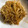 やーしー's cooksnap of when they made もやしの豆板醤とオイスターソース炒め！.