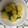みみりん♪♪'s cooksnap of when they made いんげんとじゃがいものめんつゆ柚子胡椒味.