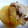 ＴＯＭＯＷＡＴ's cooksnap of when they made 定番のおふくろの味★豚バラと大根の煮物.