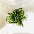 azbjbn's cooksnap of when they made 1枚でも簡単！シソ細切りの裏技.