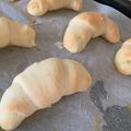 るみな＊'s cooksnap of when they made コンテナー容器で簡単♡手作り塩パン.