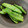 miyoopy's cooksnap of when they made 絹さやのゴマ和え.