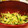 クックもか。's cooksnap of when they made あと1品♪きゅうりとミョウガのさっと和え.