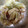 まーく71's cooksnap of when they made 蒸しキャベツの甘みが美味しい♪ごま和え.