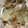 手抜きクック's cooksnap of when they made 焼きタラとベーコンの旨塩チーズ炒め.