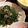 ＊てぬキング＊'s cooksnap of when they made カニカマとおかひじきの炒め物.