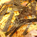 kam嫁's cooksnap of when they made ちらし寿司の具.