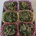 クック26PAK7☆'s cooksnap of when they made 簡単もりもり！しらす入り無限ピーマン.