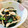 LimeLunch's cooksnap of when they made ささみときゅうりの梅わさび和え.