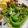 okazakana's cooksnap of when they made 簡単！レンジで1分！ピーマンお弁当おかず.