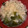 まん！'s cooksnap of when they made 長ネギとわかめ・揚げ玉の味噌汁.