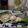 ダイナマイト漆黒's cooksnap of when they made 柚子胡椒焼きサバ.