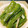 ふわりんぽよりん♪'s cooksnap of when they made ピーマンとししとうの煮びたし.