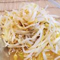 ペキのリリー's cooksnap of when they made 白髪ネギともやしのピリ辛ナムル.