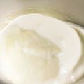 coookingぱぱ's cooksnap of when they made 冷凍ヨーグルト*ダイエットにも.