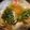 まーこ◡̈'s cooksnap of when they made 油淋鶏のタレ.