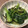 そのうち老々's cooksnap of when they made [レンジで]江戸菜の和え物　わさび風味.