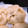 うーてぃ's cooksnap of when they made 皮から作る簡単肉まん.