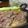 ダイナマイト漆黒's cooksnap of when they made 黒酢にんにくステーキソース.