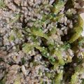 Ryo725's cooksnap of when they made ゴーヤの肉味噌炒め.