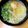 しゅんのま's cooksnap of when they made 素麺で塩ラーメン風に.