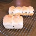 ☆☆りおん☆☆'s cooksnap of when they made タッパーで作るこねないミニ食パン.