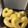 3児の子ぶたママ's cooksnap of when they made ＊甘さ控えめレモンドーナツ＊.